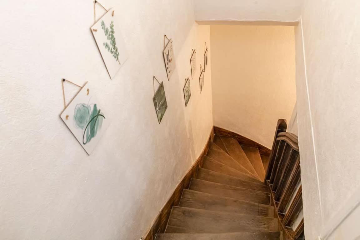Coquelin - Joli Appartement Renove Rennes Ngoại thất bức ảnh